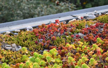 the cost of Tryfil green roof installation