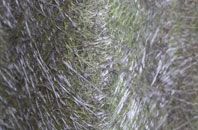 Tryfil fibreglass roof work